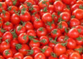 Domateste ihracat yasağı kaldırıldı