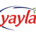 Yayla Agro Gıda Sanayi ve Ticaret A.Ş. (YYLGD)