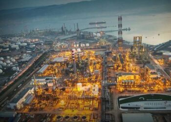 Petkim’in ilk çeyrekte net kârı 131 milyon lira