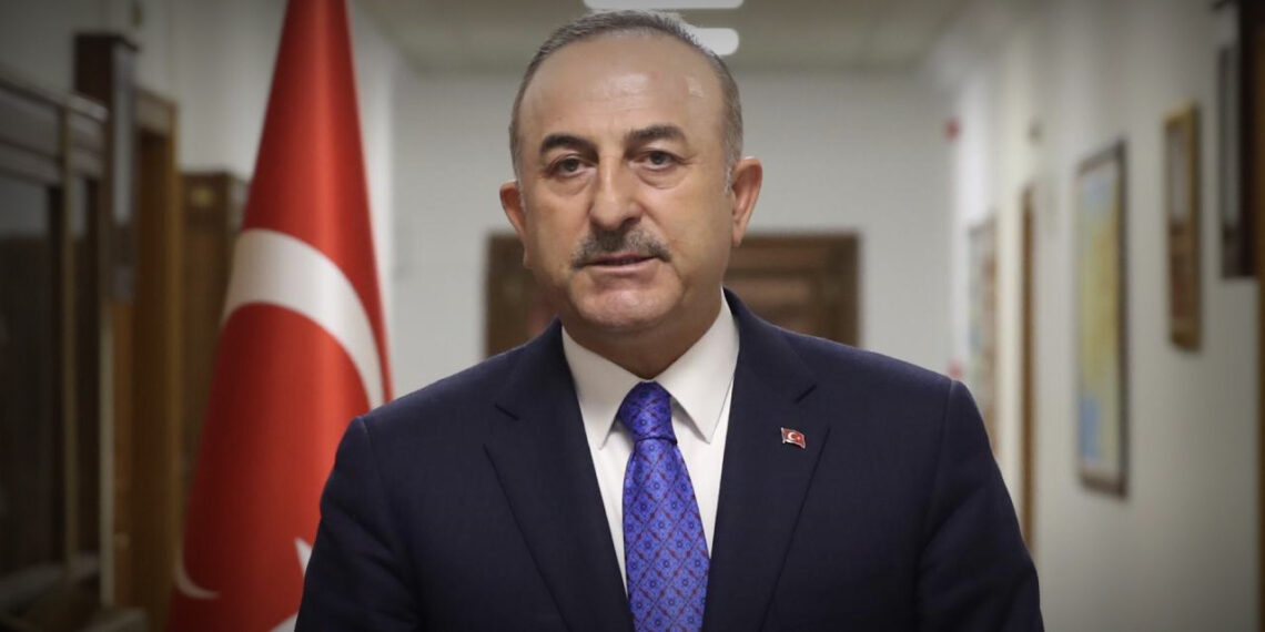 NATO PA Türk Delegasyonu Yeni Başkanı Mevlüt Çavuşoğlu