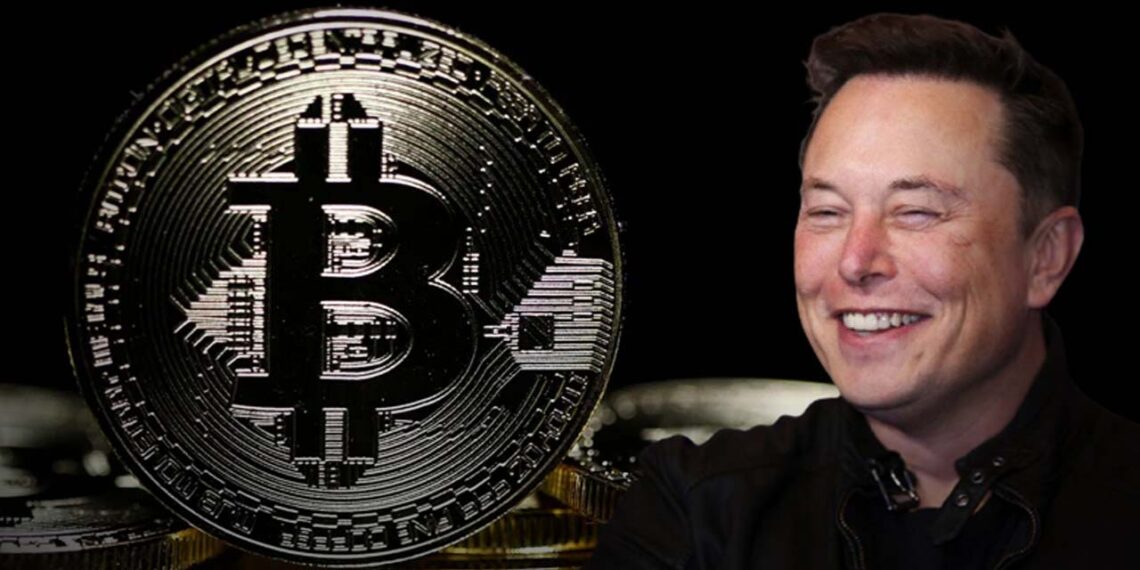Bitcoin’deki düşüşte Elon Musk’ın payı var mı?
