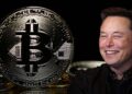 Bitcoin’deki düşüşte Elon Musk’ın payı var mı?