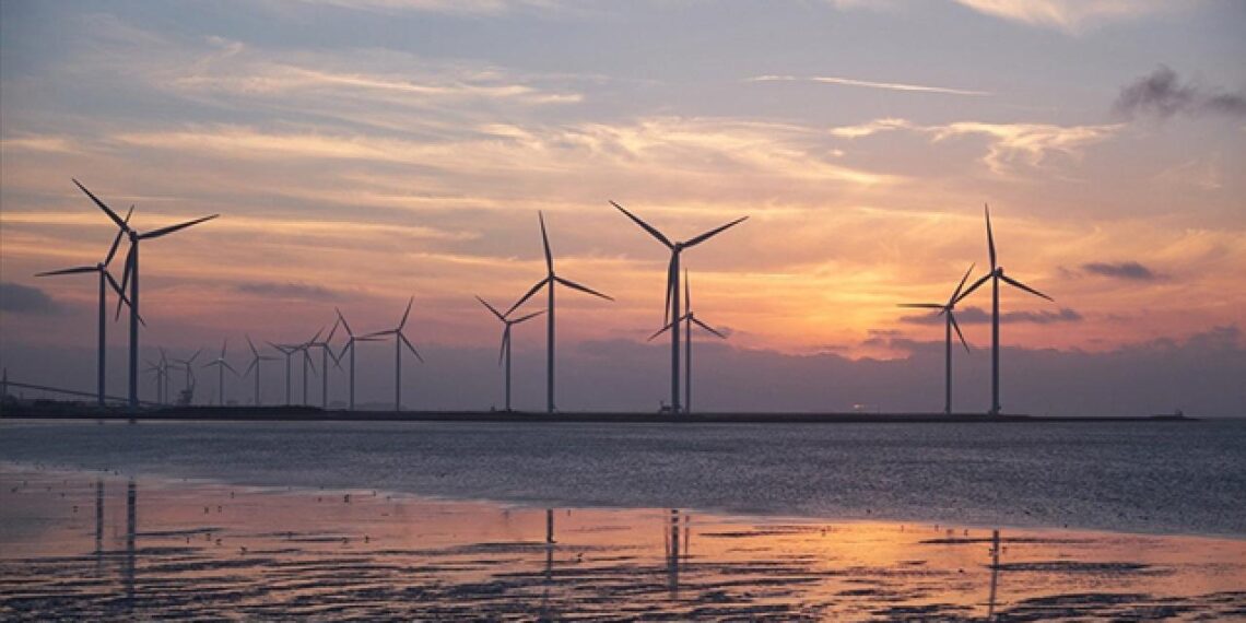 Türkiye’den deniz üstü rüzgâr enerjisi atılımı