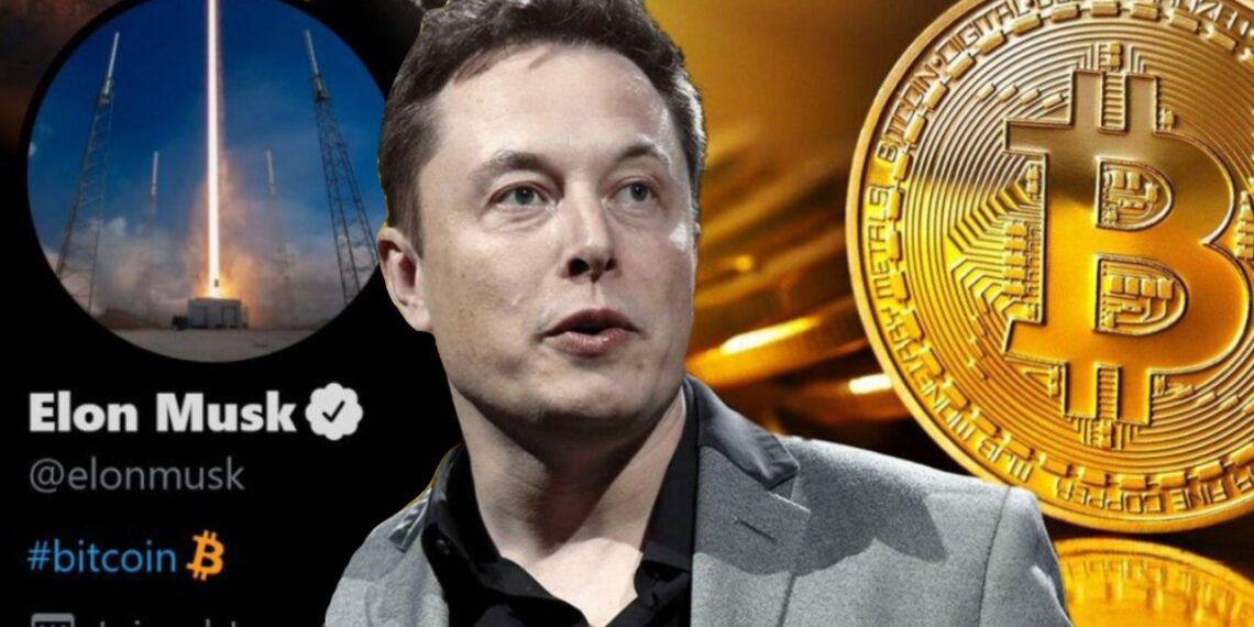 Kripto yatırımcıları Elon Musk’ın kitabını bekliyor