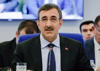 Cevdet Yılmaz’dan TL açıklaması