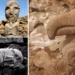 Göbeklitepe ve Karahantepe’de yeni buluntular gün yüzüne çıkıyor