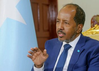 Somali Cumhurbaşkanı Hasan Şeyh Mahmud: Oğluma Türkiye’ye dönmesi için tavsiye verdim