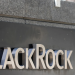 BlackRock, Bitcoin ETF’leri Güvence Altına Alıyor