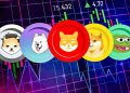 Meme coin sektörü, 4 gün içinde büyük değerleme sahip oldu!