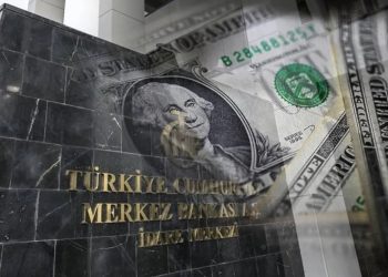 Prof. Dr. Hakan Kara açıkladı: Merkez, son 1 ayda ne kadar döviz sattı?