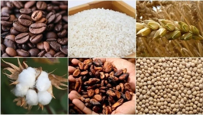 Emtia piyasasında yön arayışı