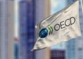 OECD, Türkiye’nin 2024 büyüme tahminini yükseltti