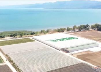 Hektaş ilk çeyrekte 269,5 milyon TL zarar açıkladı