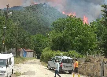Muğla’da başlayan orman yangını Denizli’ye sıçradı