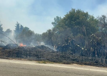 Antalya’da yerleşim yerleri yakınında yangın