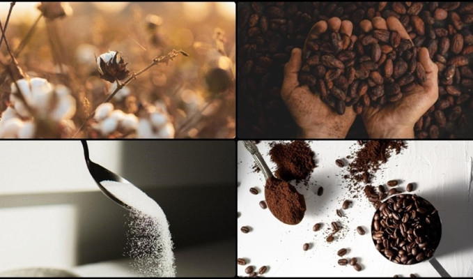 Emtia piyasasında düşüş eğilimi