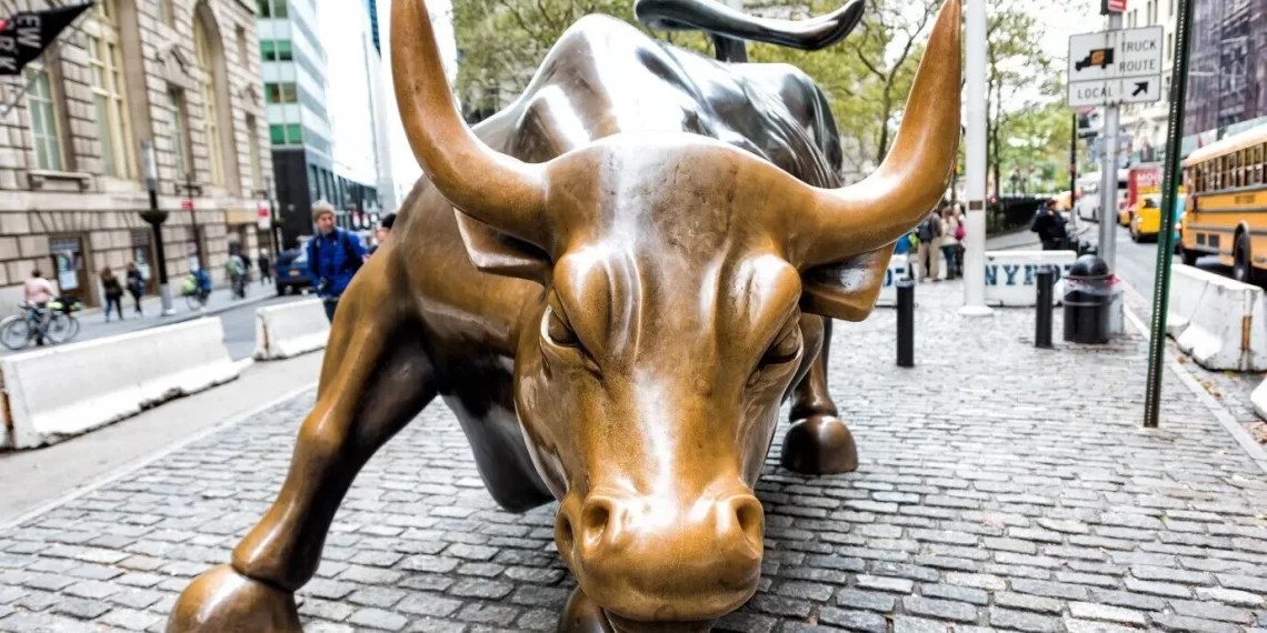 Boğa Piyasası (Bull Market) nedir?