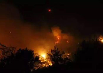 Muğla ve Aydın’da orman yangını: Bir köy tahliye edildi!