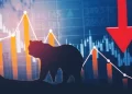 Ayı Piyasası (Bear Market) nedir?