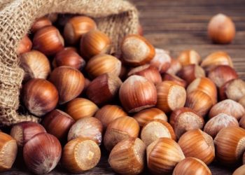 İşte serbest piyasada fındık fiyatları