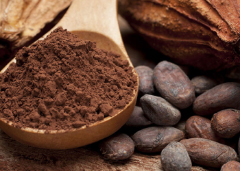 Kakao fiyatı 6.5 ayın dibinde