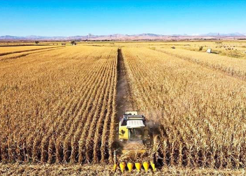 Tarımsal üretici fiyatları aylık yüzde 3.42 arttı