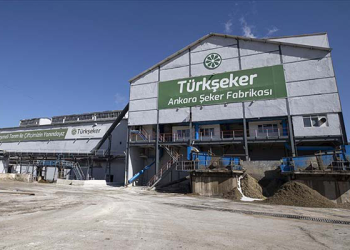 Türkşeker fabrikalarına 1350 geçici işçi alınacak