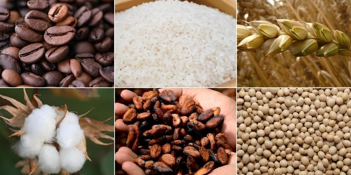 Emtia piyasasında atak haftası