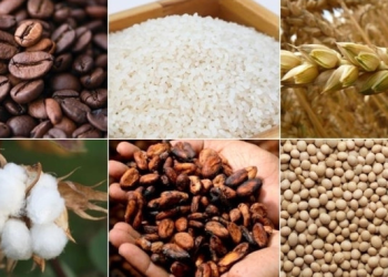 Emtiada yükseliş eğilimi sürüyor