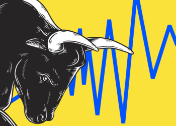 İki yıldır devam eden boğa piyasasını bundan sonra ne bekliyor?