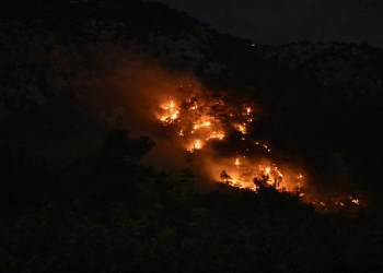 İzmir’de orman yangını