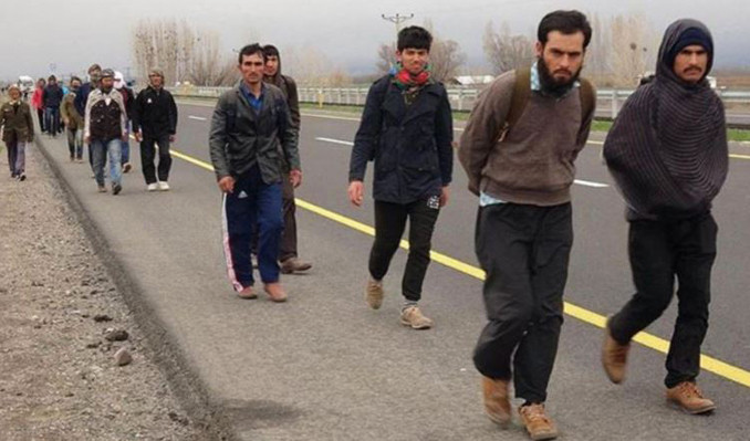 ‘Kalkan-29’ operasyonunda 242 düzensiz göçmen yakalandı