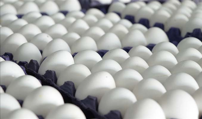 ‘Kuş gribi’ fırsatçılığı: Yumurta fiyatlarına yüzde 45 zam!