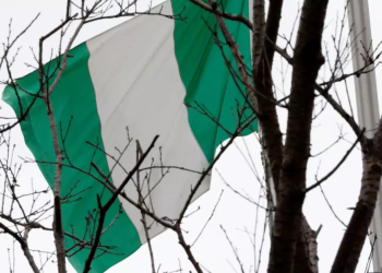 Nijerya kabinesinde değişiklik: 7 yeni bakan görevde