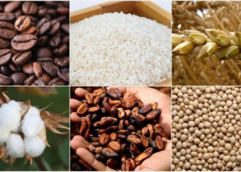 Emtia piyasası zorlu bir ayı geride bıraktı