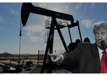 Petrol Trump sonrası düşüşte