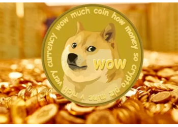 Dogecoin’de 1 dolar hedefi yeniden masada