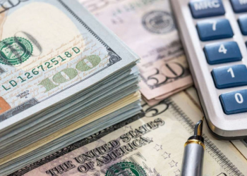 O döviz fonu bir yılda yüzde 52.85 getiri sağladı