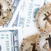 ABD hükümeti Bitcoin alacak mı?