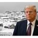 Trump: Grönland’a ihtiyacımız var