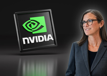 Borsalar çöktü, Cathie Wood Nvidia’ya geri döndü