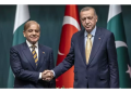 Cumhurbaşkanı Erdoğan, Pakistan Başbakanı ile görüştü