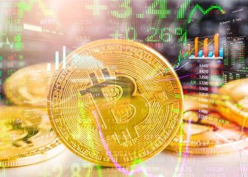 Hükümet ve Merkez Bankası arasında kripto krizi