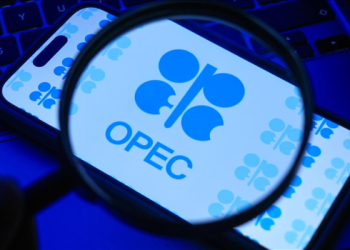 OPEC’ten ‘petrol’ değerlendirmesi