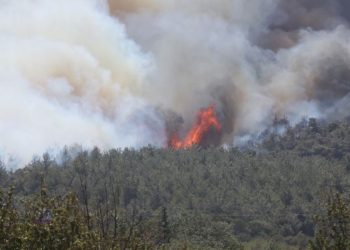 Çanakkale’de orman yangını! Tahliyeler başladı