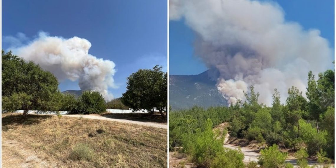 Denizli’de orman yangını