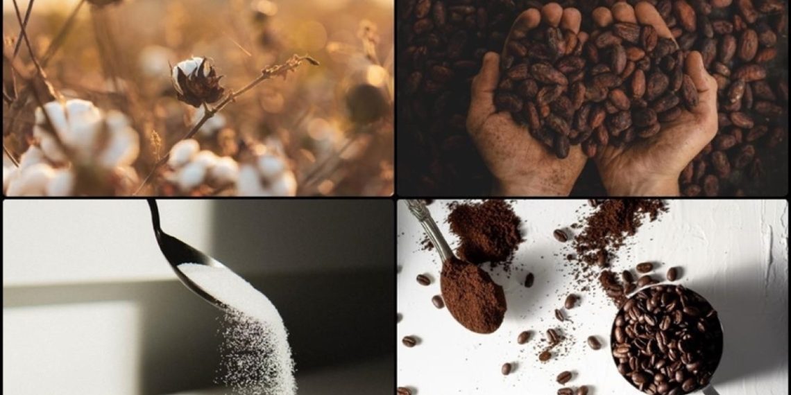 Emtia piyasasında ‘Trump’ sarsıntısı