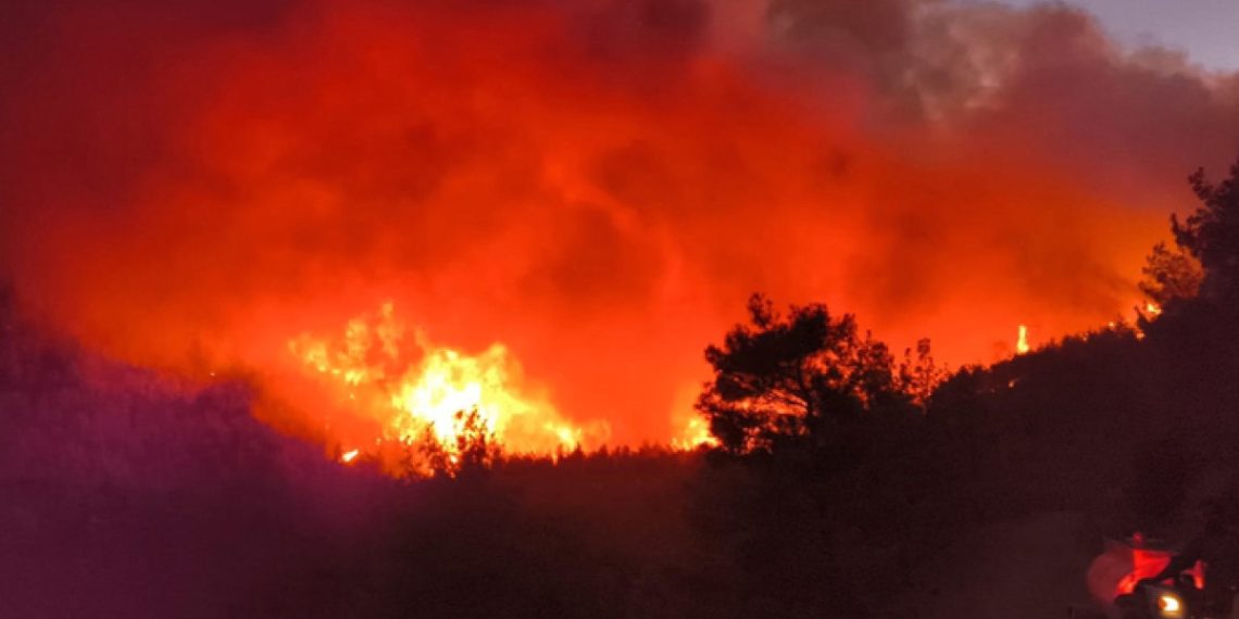 Hatay’da da orman yangını çıktı