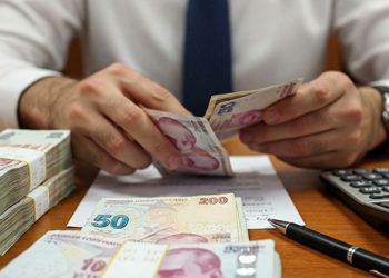 TL’deki sert değer kaybı endişelendiriyor