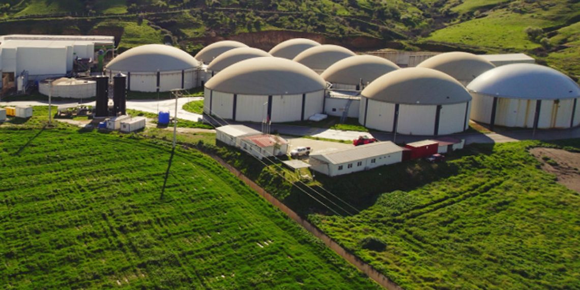 ARF Bio’nun halka arz sonuçları belli oldu